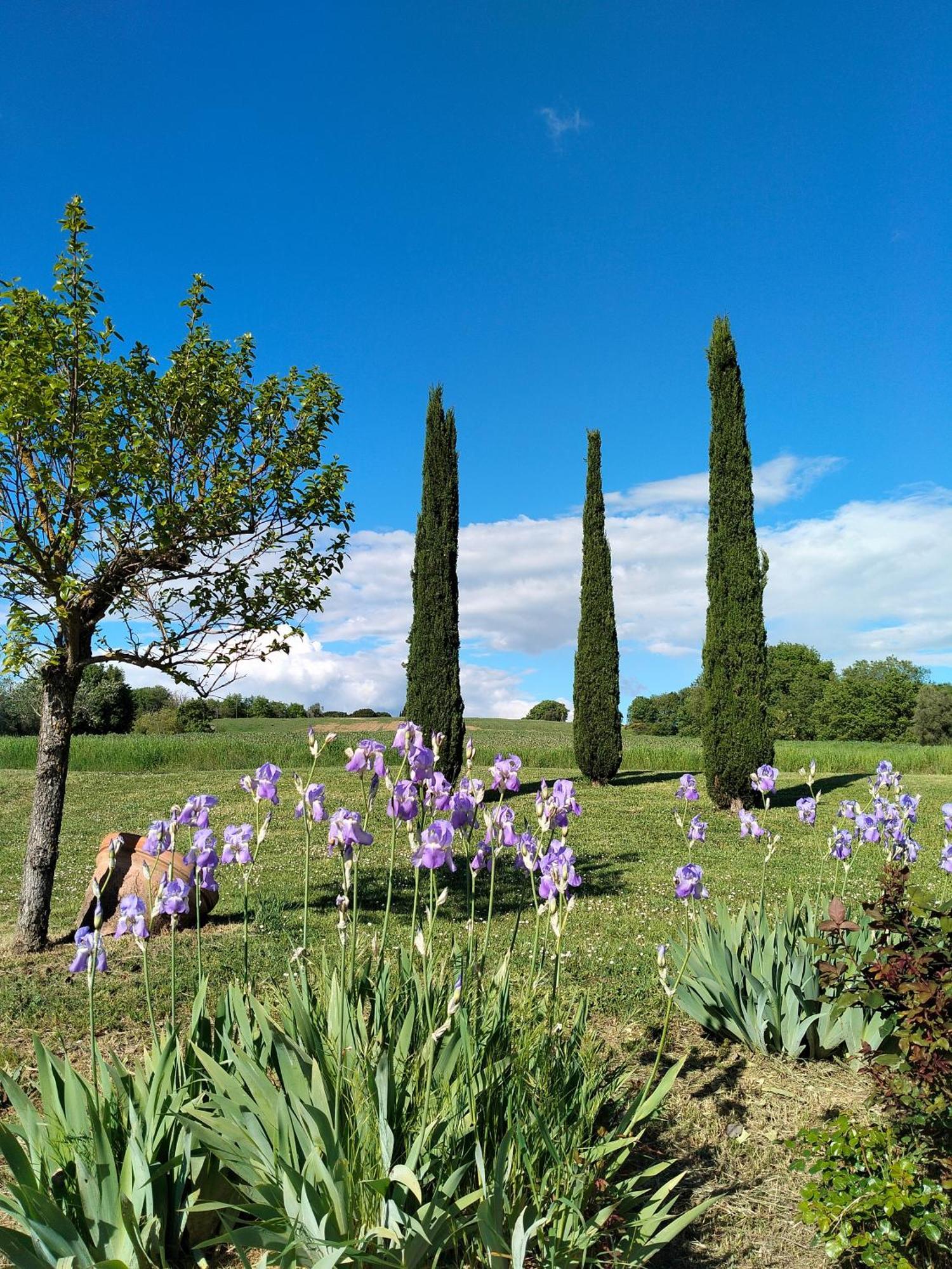 Villa Nobile Cortona Family Apartments Екстериор снимка